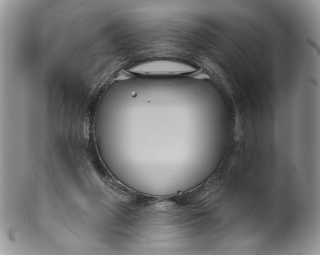 X0000099950210200806131455