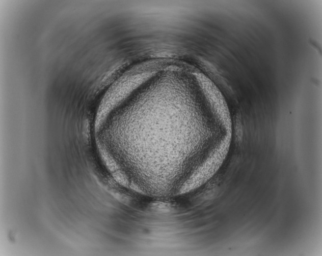 X0000099950211200806131455