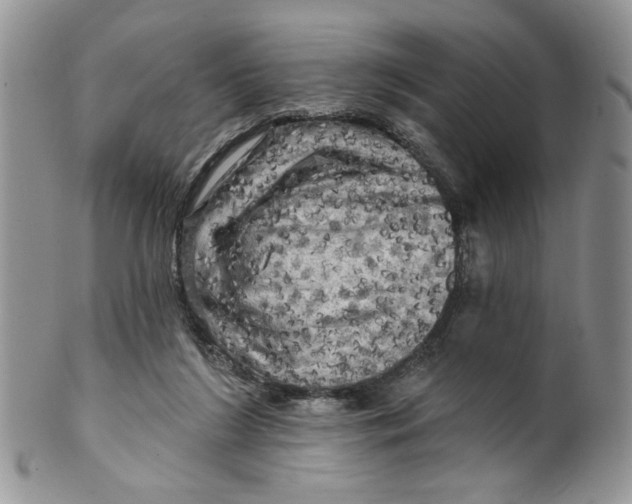 X0000099950212200806131455