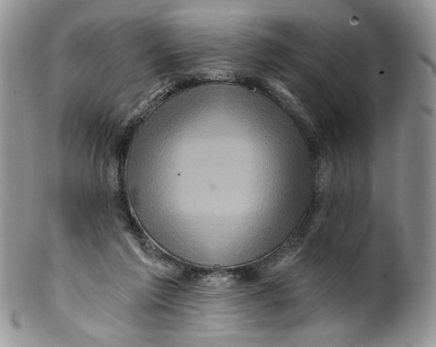 X0000099950213200806131455
