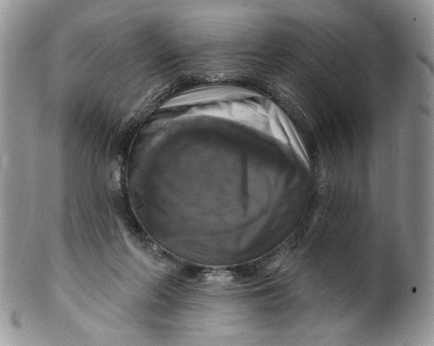 X0000099950214200806131455