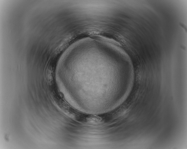 X0000099950215200806131455