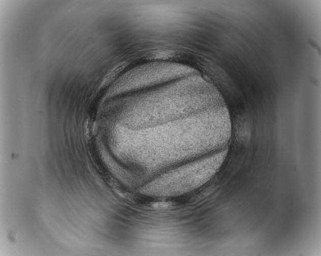 X0000099950216200806131455