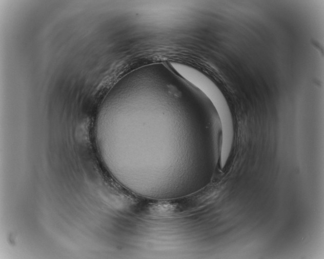 X0000099950217200806131455