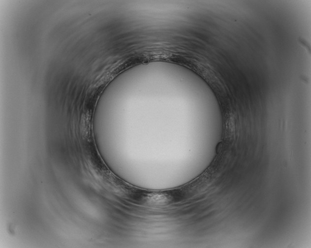 X0000099950218200806131455