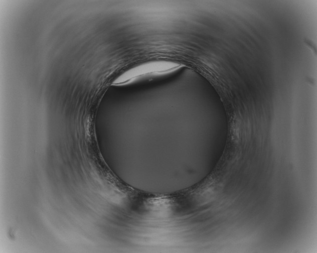 X0000099950219200806131455