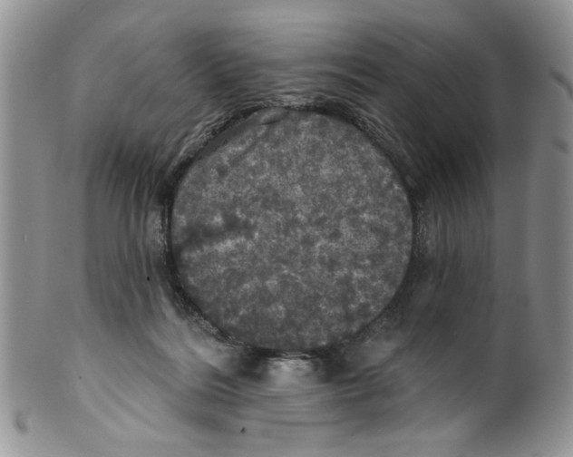 X0000099950220200806131455