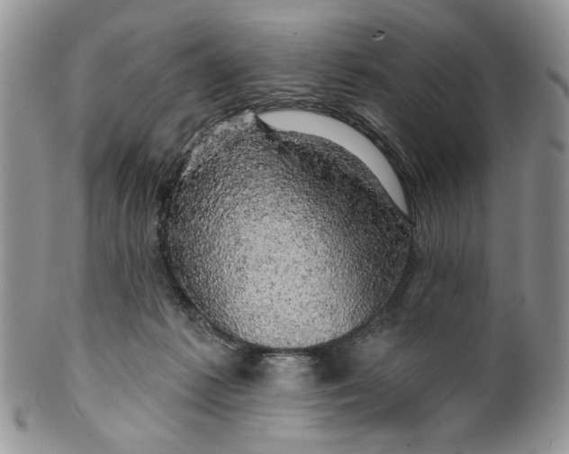 X0000099950221200806131455