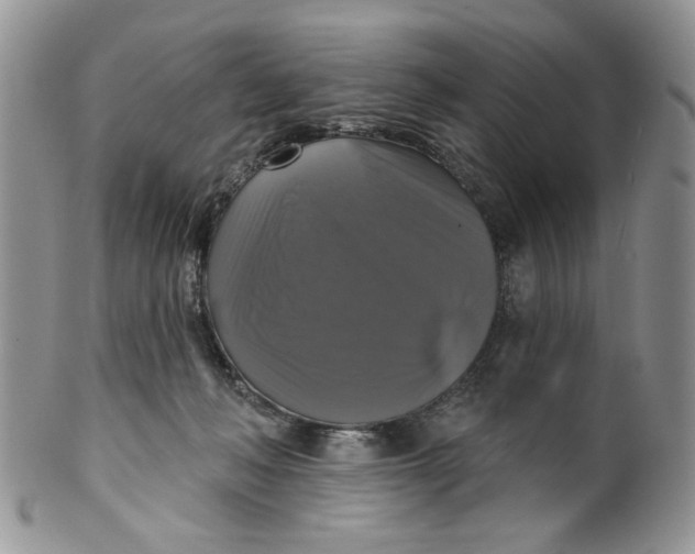 X0000099950222200806131455