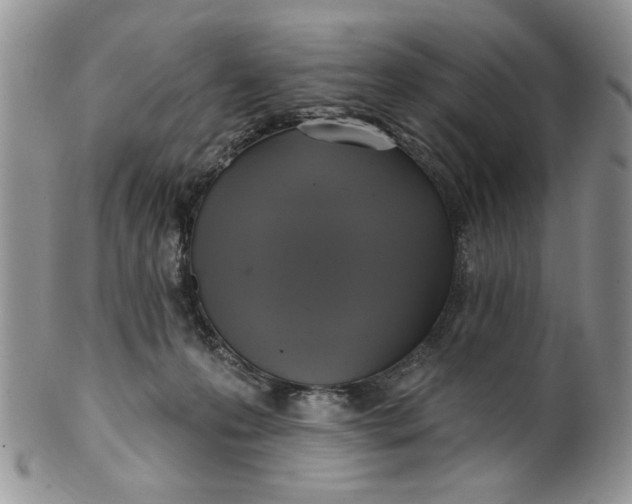 X0000099950223200806131455