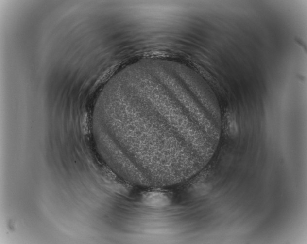 X0000099950224200806131455