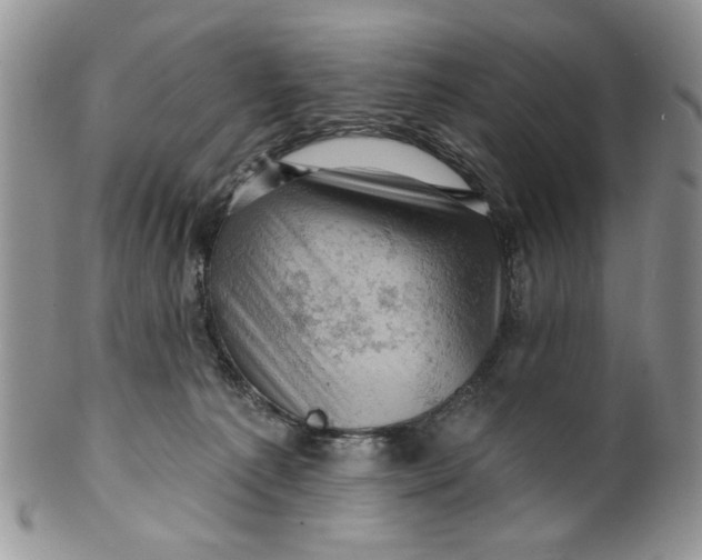 X0000099950225200806131455