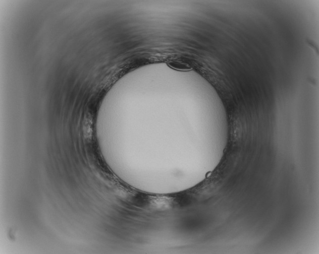 X0000099950226200806131455