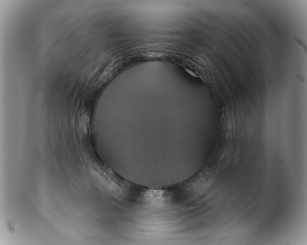 X0000099950227200806131455