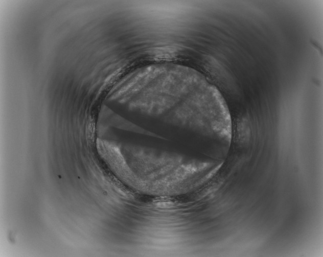 X0000099950228200806131454
