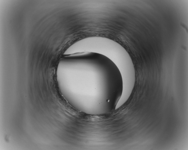 X0000099950229200806131454
