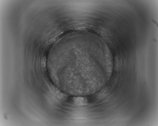 X0000099950230200806131454
