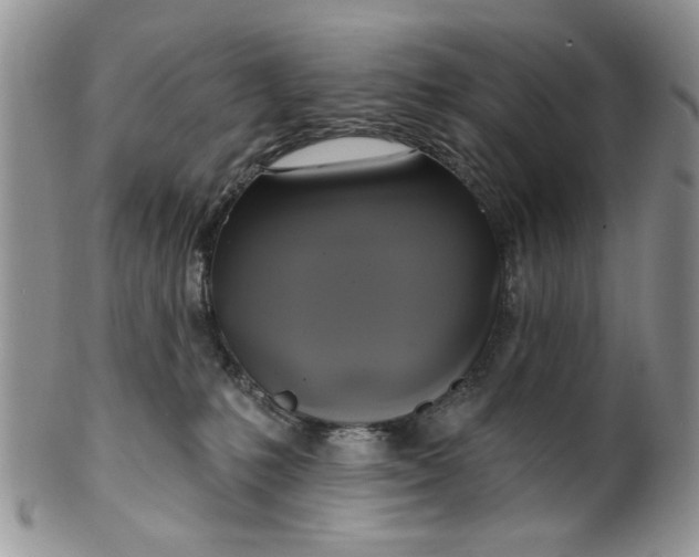 X0000099950231200806131454