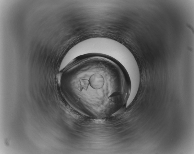 X0000099950233200806131454
