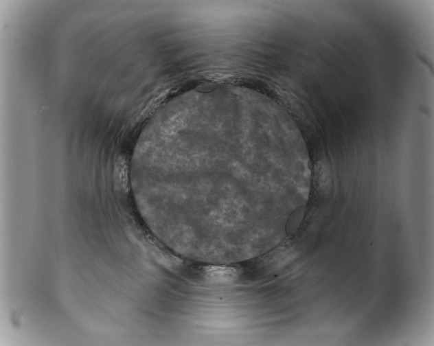 X0000099950234200806131454