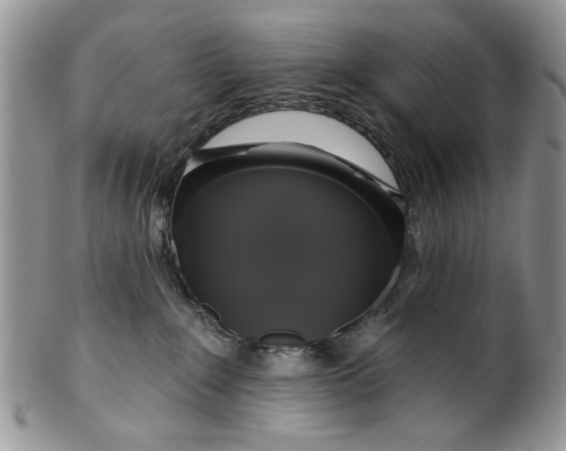 X0000099950235200806131454
