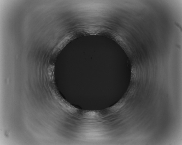 X0000099950237200806131454