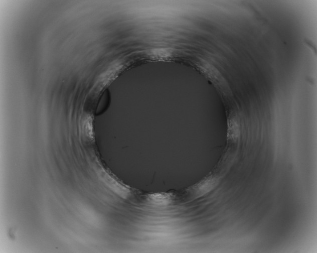 X0000099950238200806131454