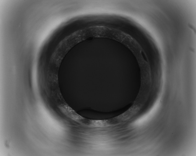 X0000099950239200806131454