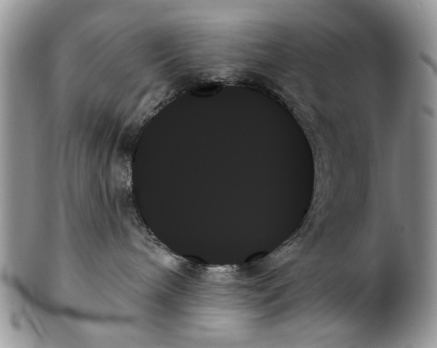 X0000099950240200806131454