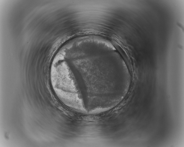 X0000099950241200806131454