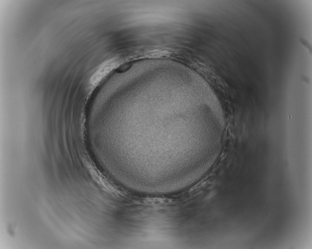 X0000099950242200806131454