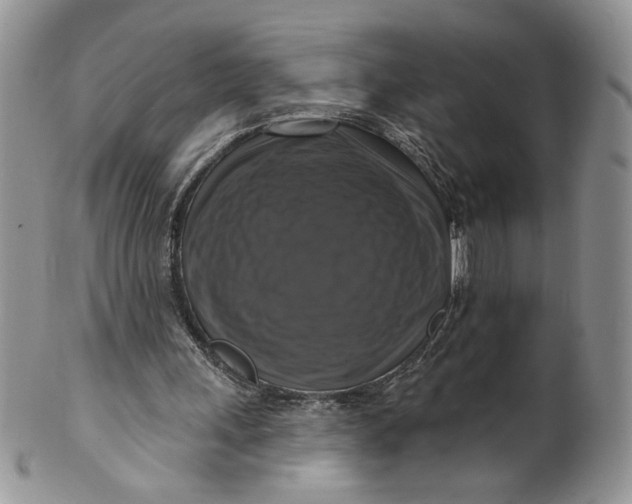 X0000099950243200806131454