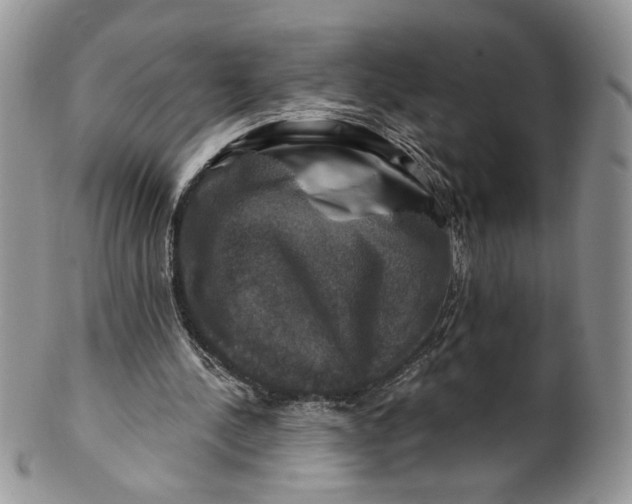 X0000099950244200806131454