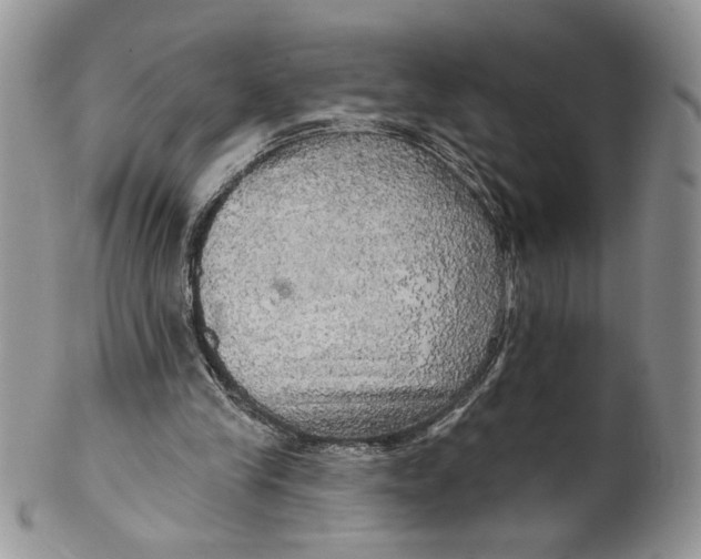 X0000099950245200806131454