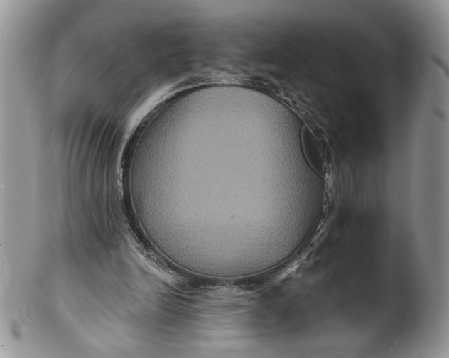 X0000099950246200806131454
