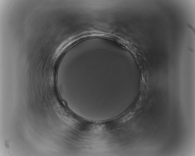 X0000099950247200806131454