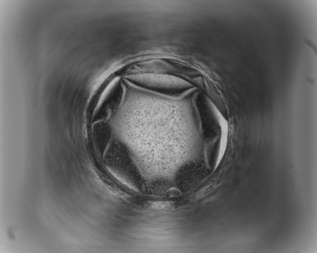 X0000099950248200806131454