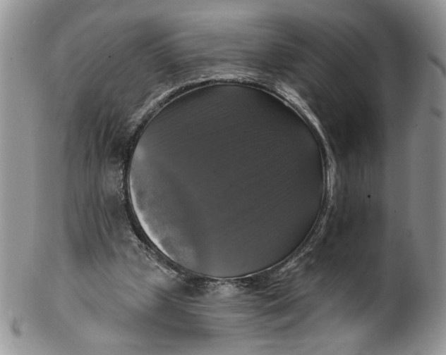 X0000099950249200806131454