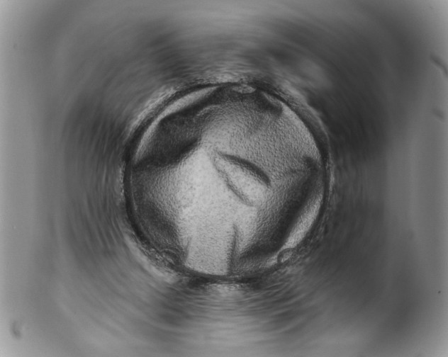 X0000099950250200806131454