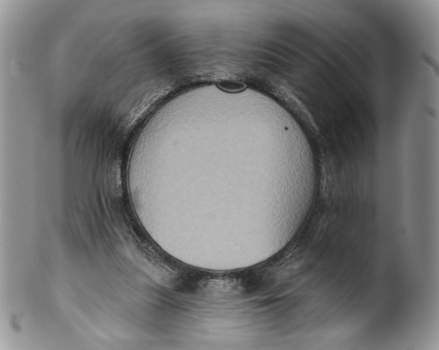 X0000099950251200806131454