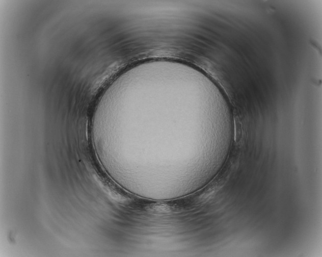 X0000099950253200806131454