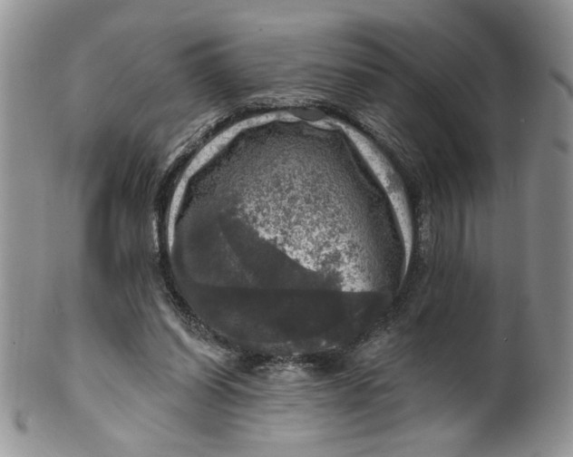 X0000099950254200806131454