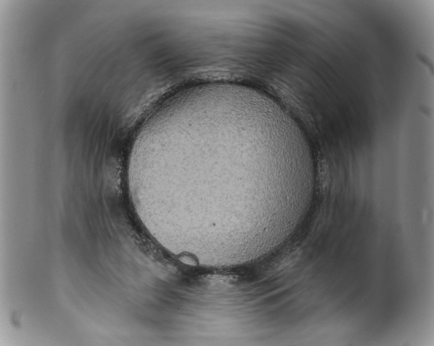 X0000099950255200806131454