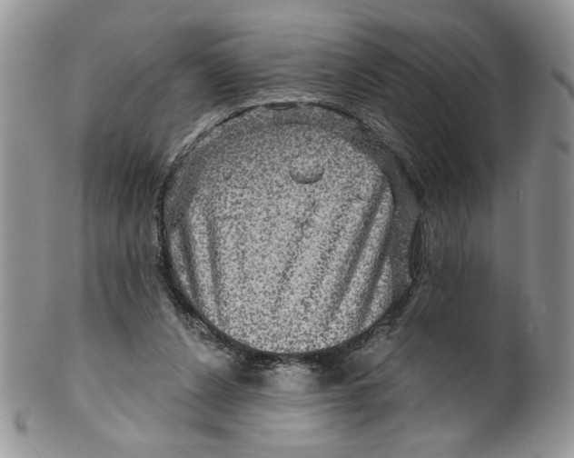 X0000099950256200806131454