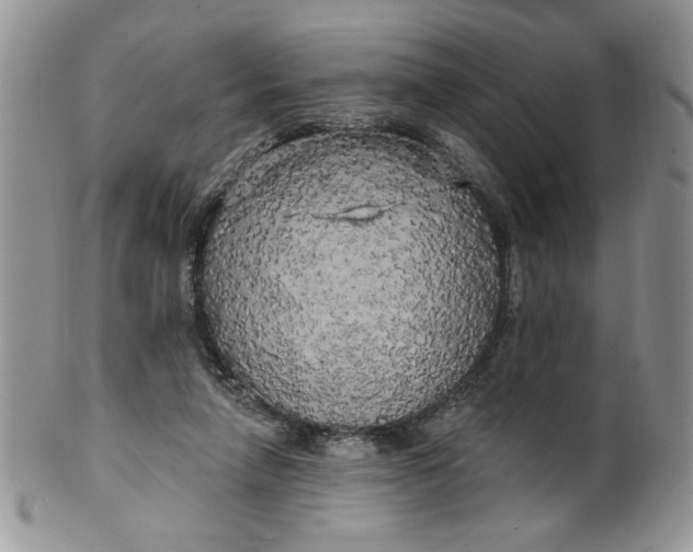 X0000099950258200806131454