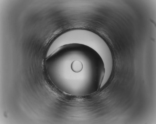 X0000099950260200806131454