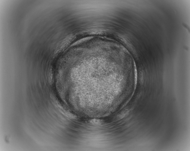X0000099950261200806131454