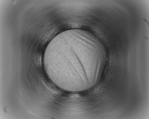 X0000099950262200806131454
