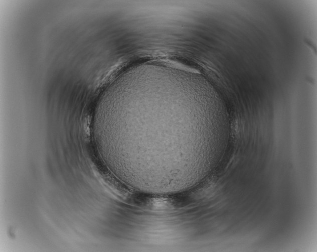 X0000099950264200806131454