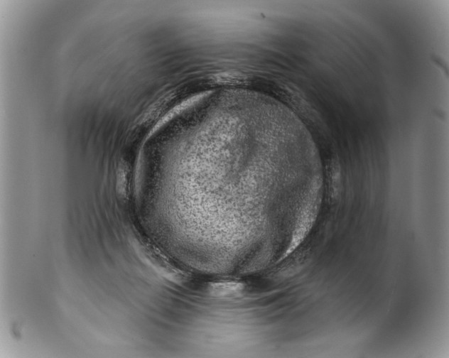 X0000099950266200806131454